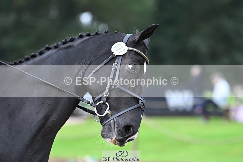 231019-111530-01765 - 037-MISTER.KAI-Hani.Milstein-DR