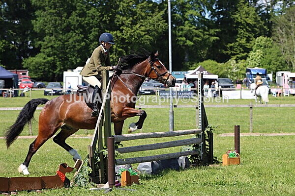IMG_4224 - Working Hunter