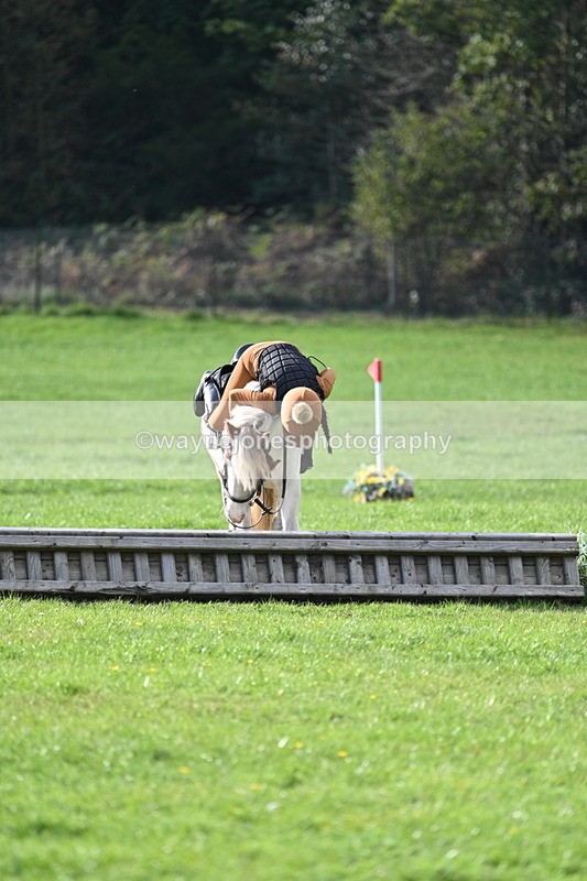 WJ7_3965 - 40cm Time 10:26 to 10:42