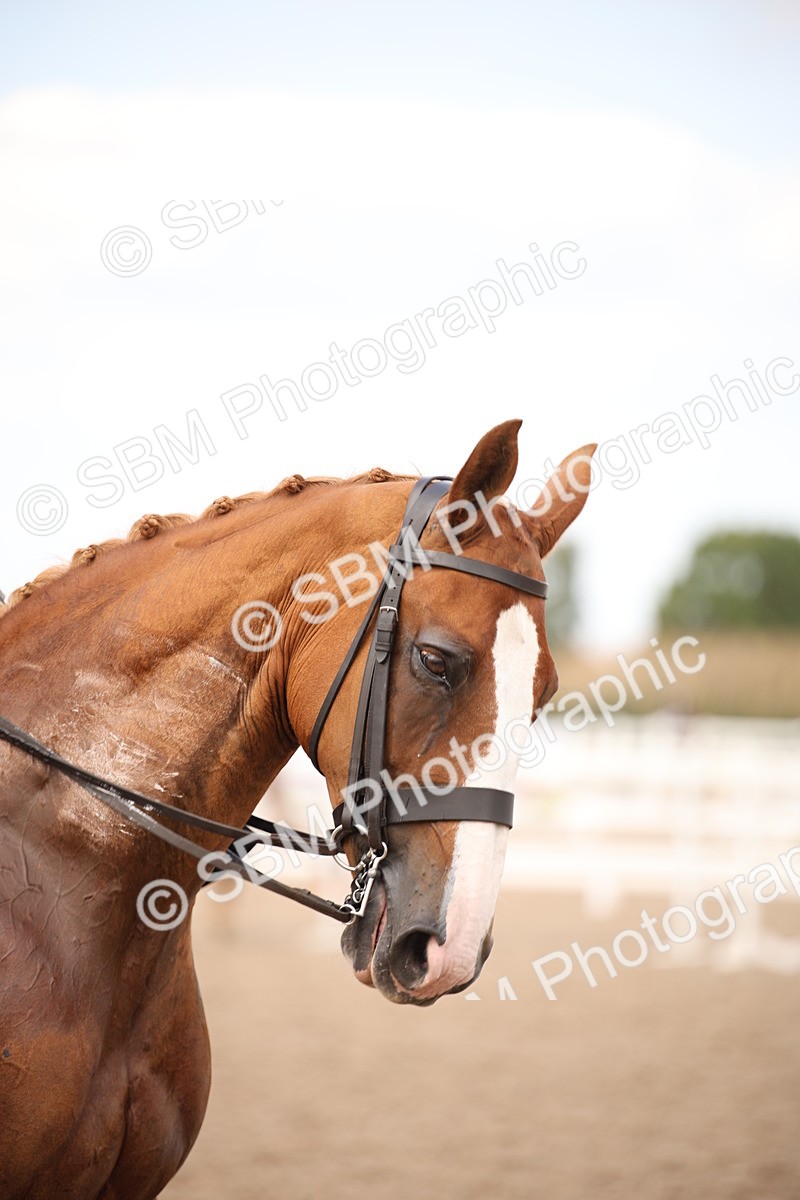 SBM_06651 - Class 23 SSA Classical