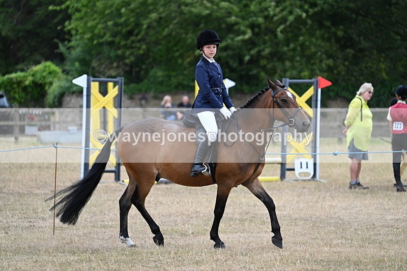 WJ7_7217 - Class 2 Best Rider