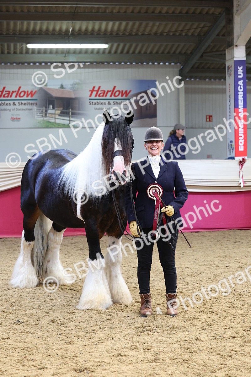 SBM_22928 - Class 903 - Supreme Final - IH Pre Vet