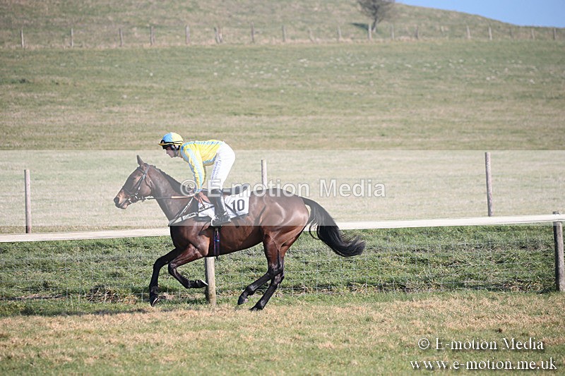 PtP 230219 153 - Vine & Craven Point-To-Point - Barbury 23/02/19