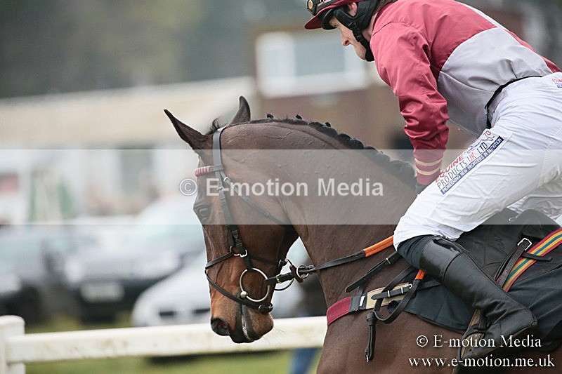 PtP 170219 -216 - Combined Services Point-To-Point Larkhill 17/02/19