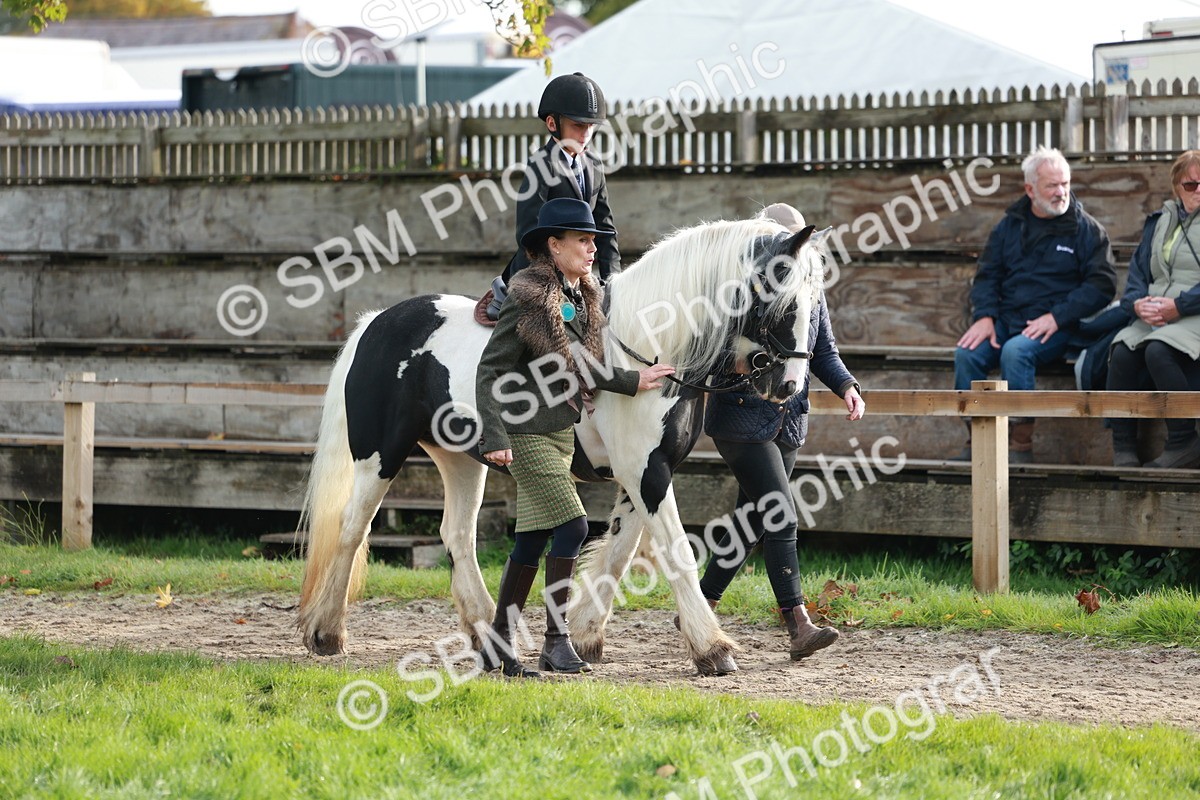 SBM_56339 - S39 - Starters In Hand Showing