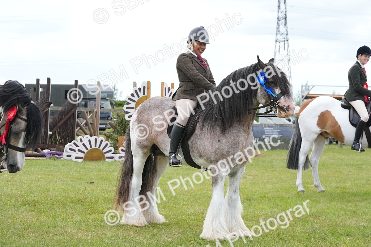 SBM_17679 - Class 107-108 - LIHS BSPS Performance Coloured Horse Pony