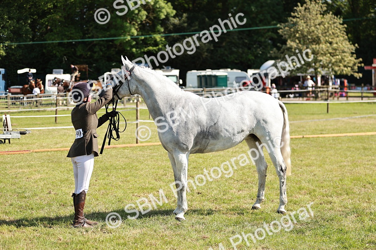 SBM_18897 - Class 114 - RIHS & SEIB Open Working Show Horse