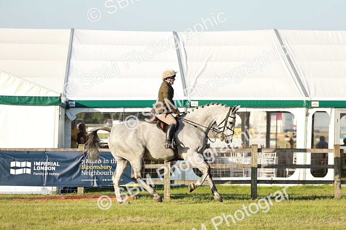 SBM_20466 - Class 117-119 - Sport Horse Working Hunter