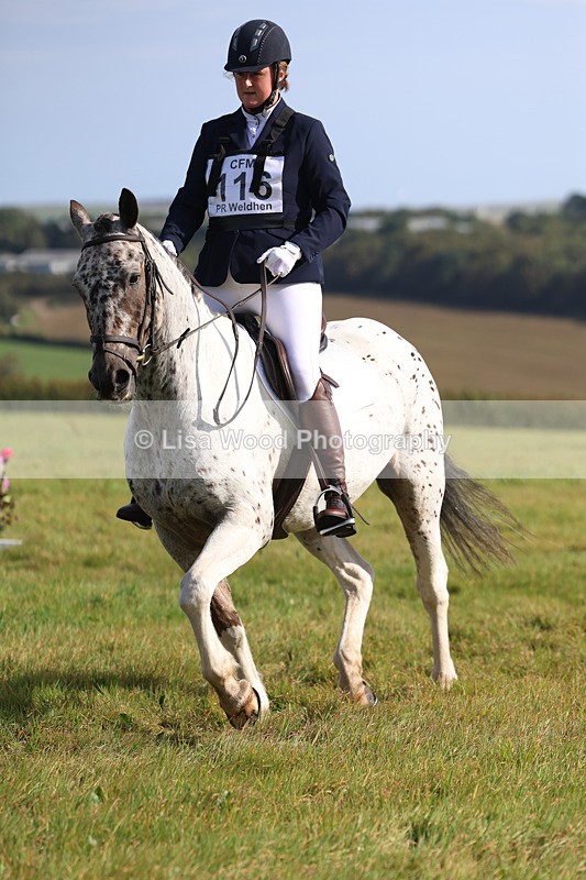 3E7A6044 - Class 1: Trebudannon Open: Dressage (Part 2)