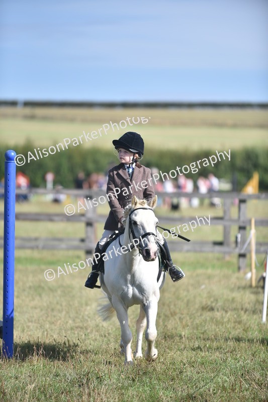 20260906-0952 - Class 7 - Absolute Novice Jumping 35cm