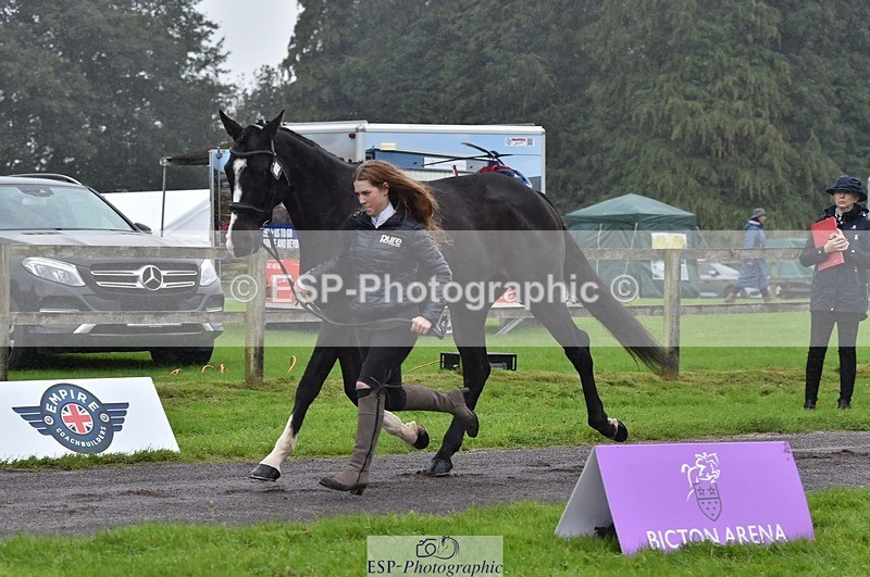 231018-120100-00034 - 004-CARTOON.HERO-Sophie.Wildern-TrotUp