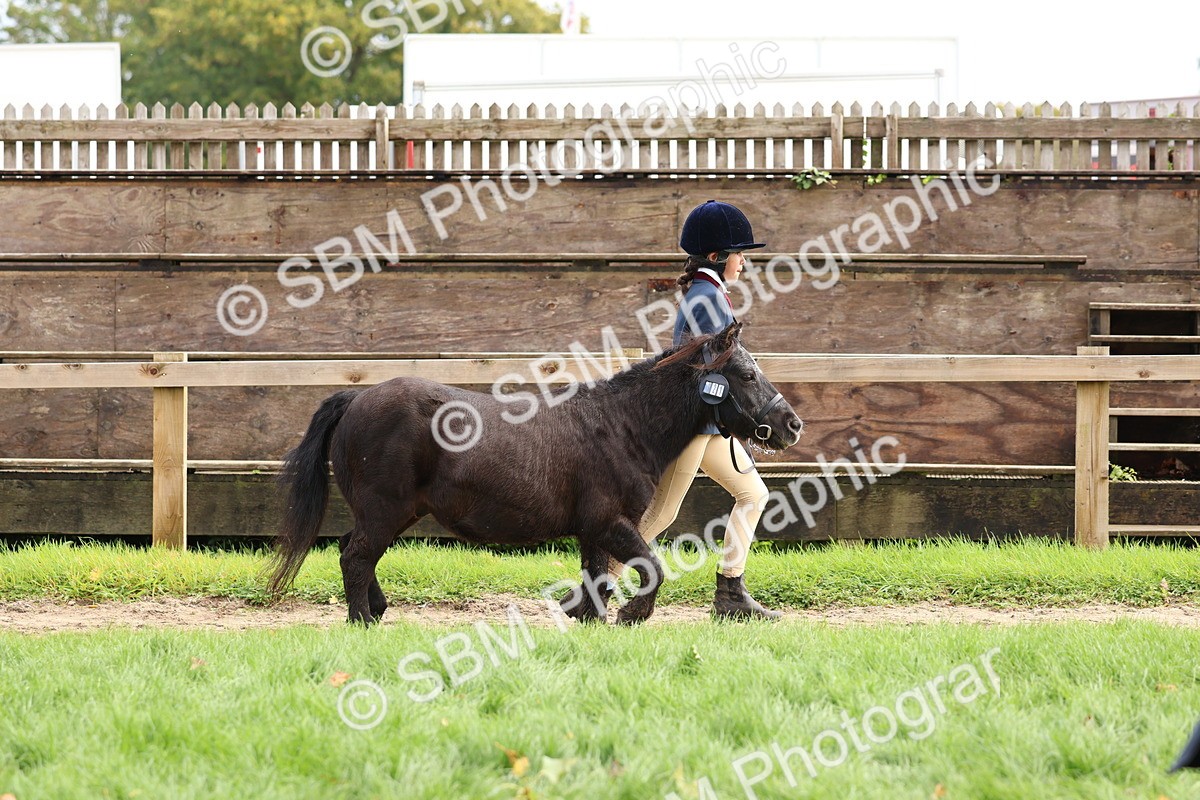 SBM_40730 - S25 -  Veteran In Hand