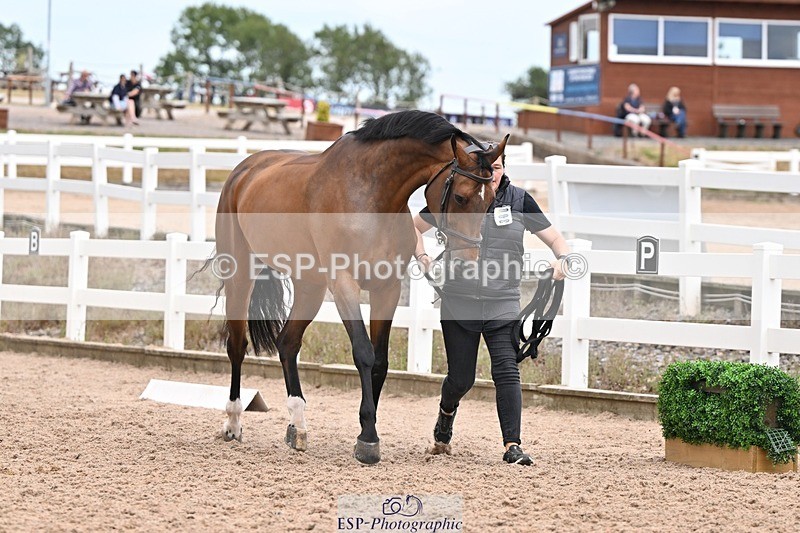 250716-162546-02633 - Trot Up 3.30 to 4.30