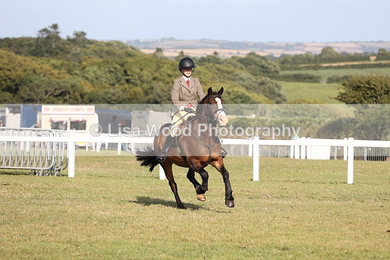 JPP_3226 - Class 21: Working Hunter 80cm