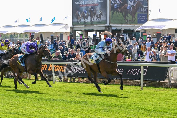 140525-Race 2-Rousing Encore-1822 - Race 2 2.42pm Churchill Tyres Handicap