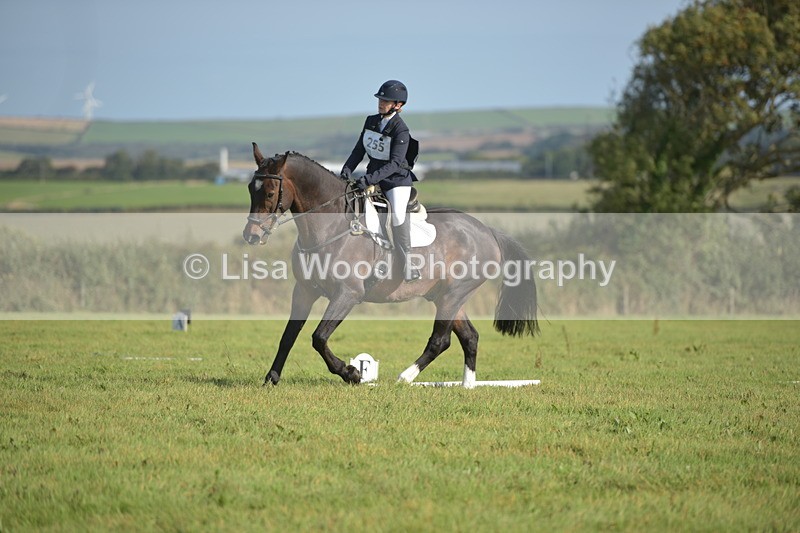 RAY_7499 - Class 2B: Trekenning Open: Dressage