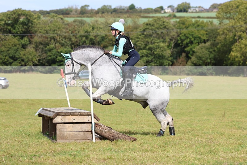 3E7A6424 - Class 1: Trebudannon Open: Pheasant Feeder