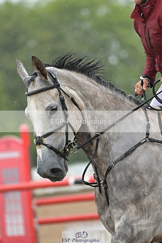 240925A-132616-00859 - Cls 4 Newcomers and 1.10m Open