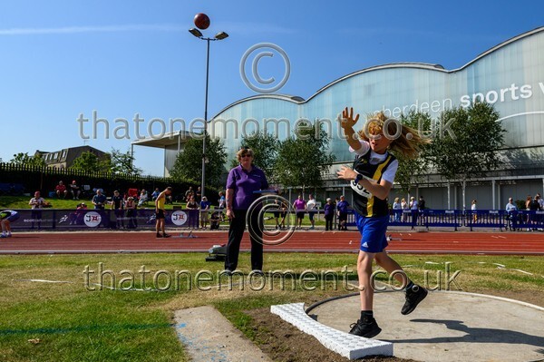 Age25SUN-928711 - Field Male