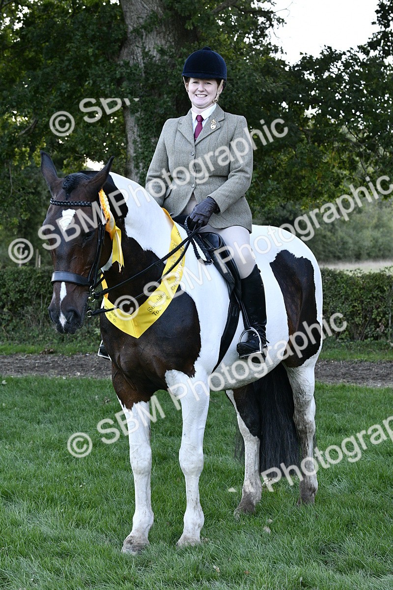 SBM_53609 - S14 - Riding Club Horse