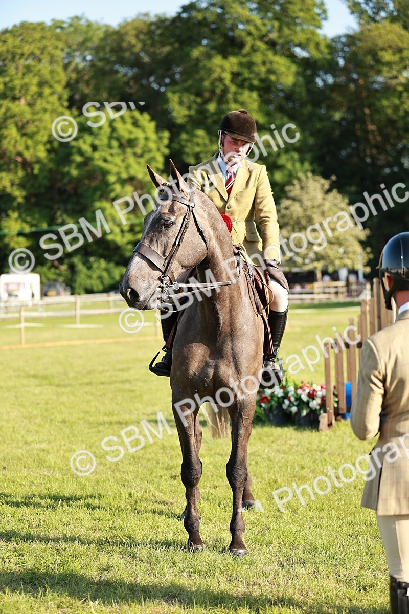 SBM_20172 - Class 117-119 - Sport Horse Working Hunter