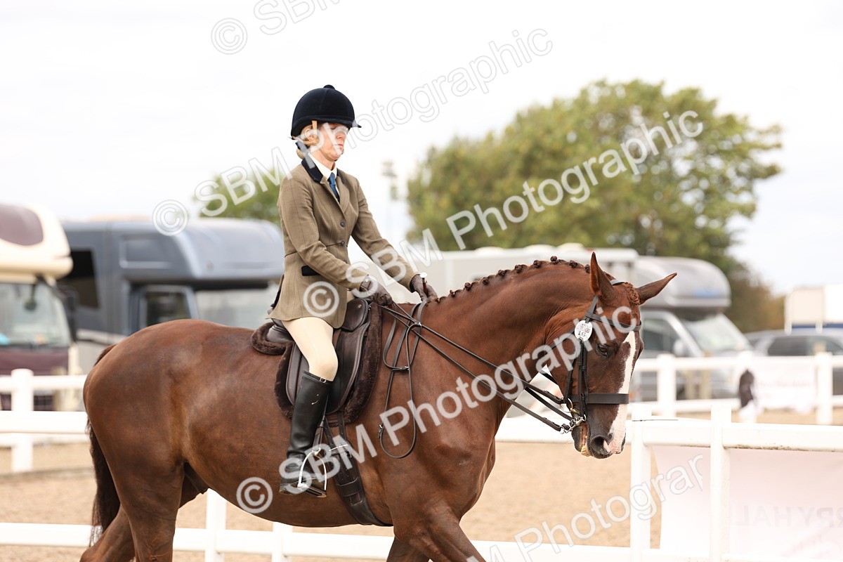 SBM_17180 - Class 213 - Ridden Hunter - Large