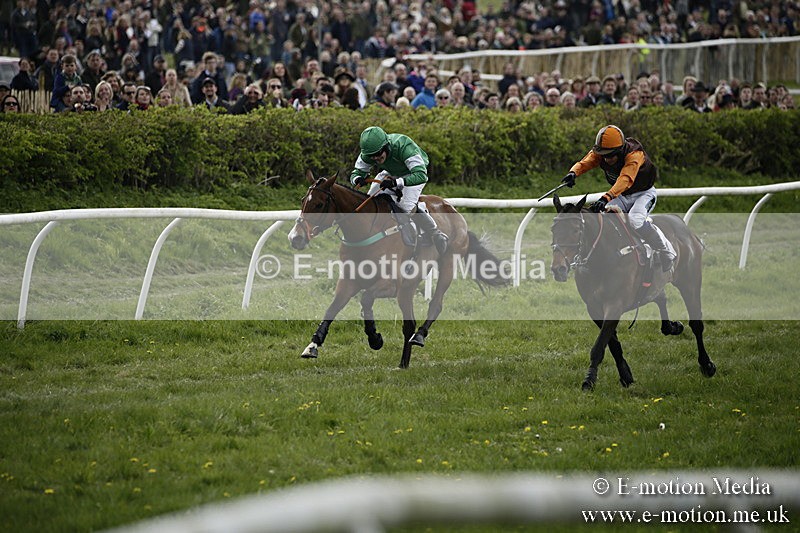 PtP 170417 187 - Old Berks Point-to-Point Lockinge 17/04/17