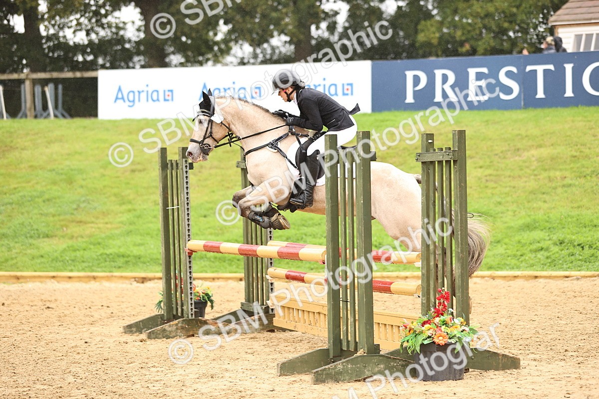 SBM_73358 - J19 - Junior Horse & Pony 90cm Supreme championship