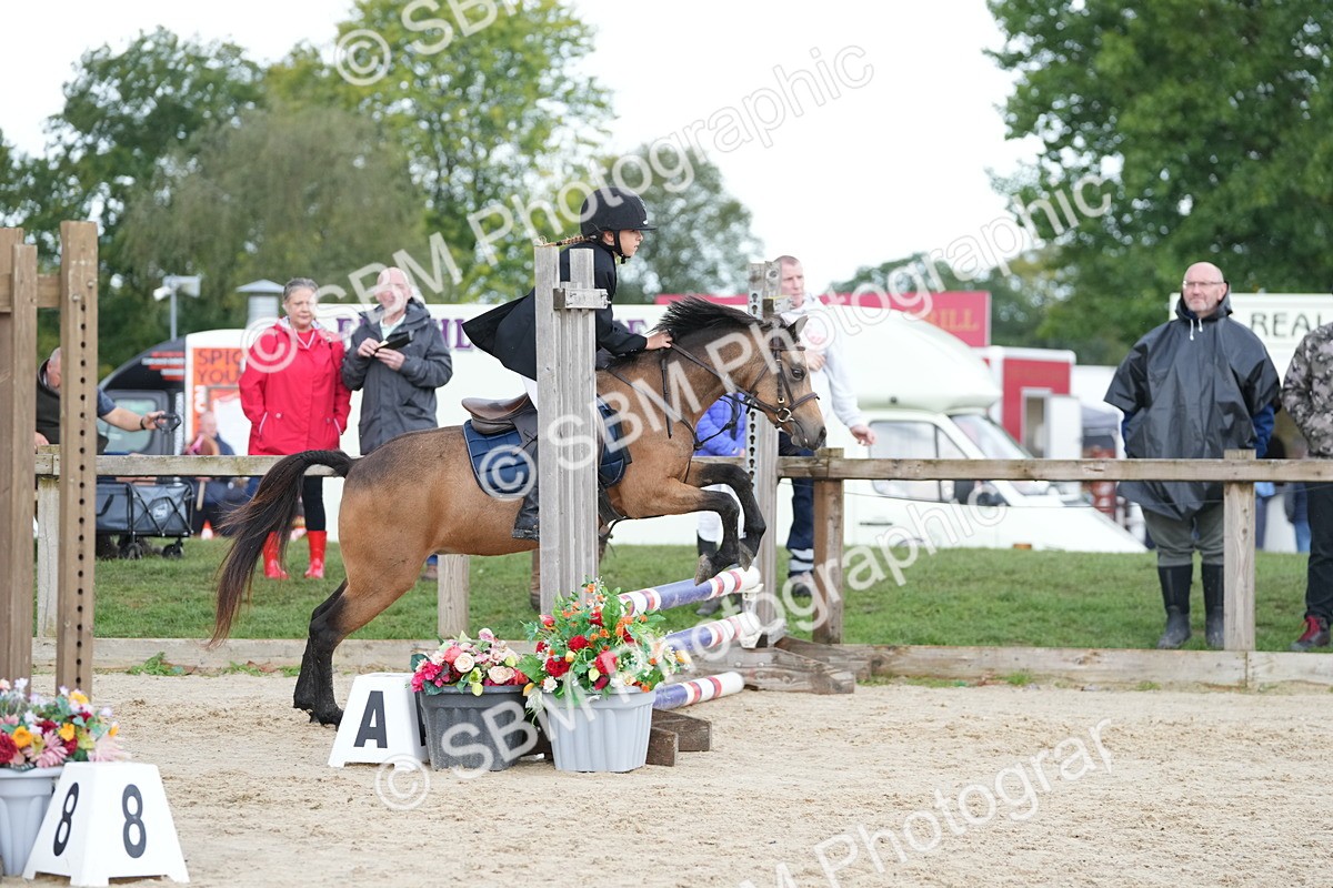 SBM_39890 - J6 - Junior Pony 55cm Championship