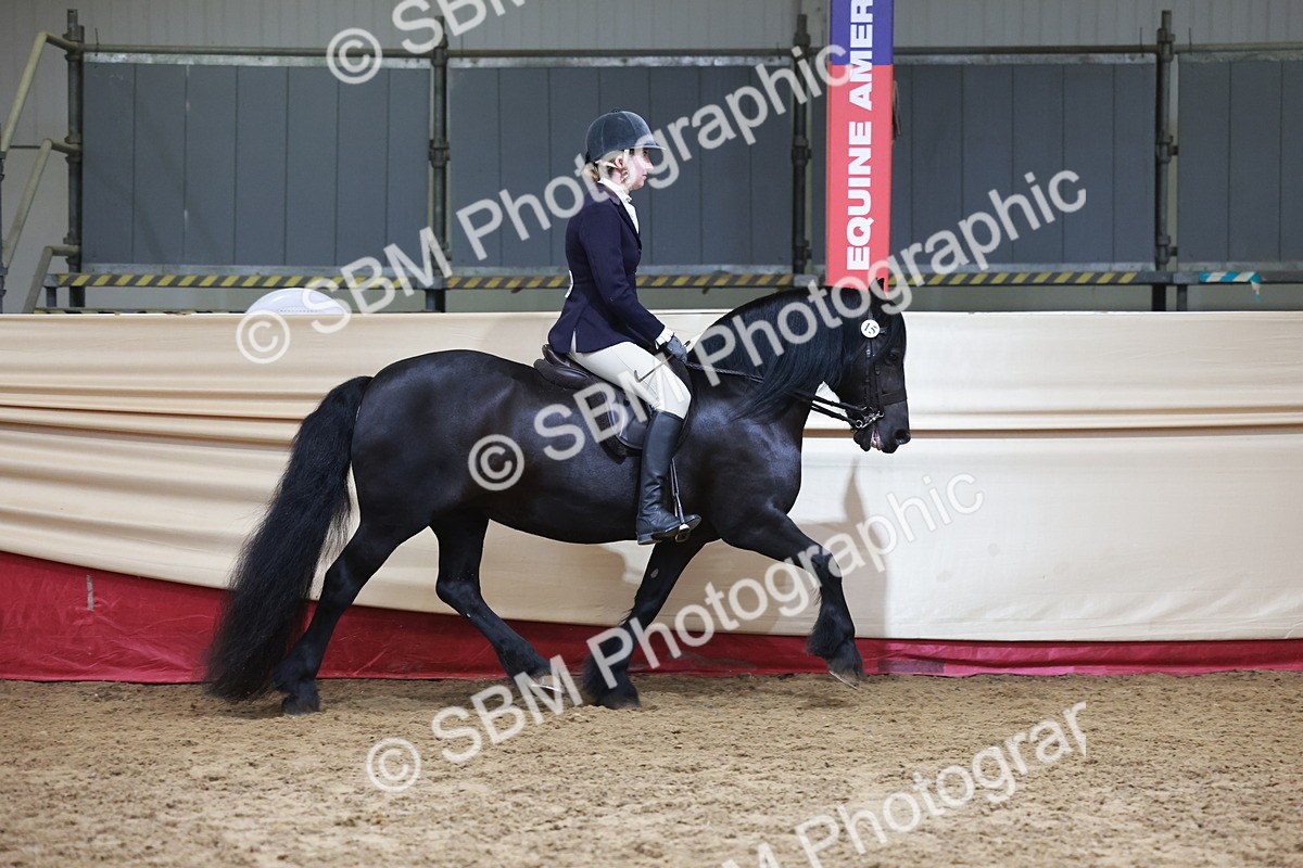 SBM_18716 - Class 952 - M&M Ridden Supreme Final