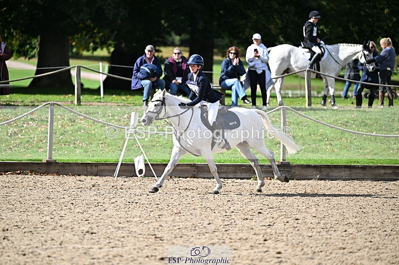 251005A-140525-04278 - Cls 09 Nov 80-85cm