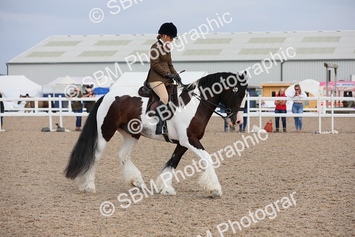 SBM_17760 - Class 315 Best Horse/Rider Combination