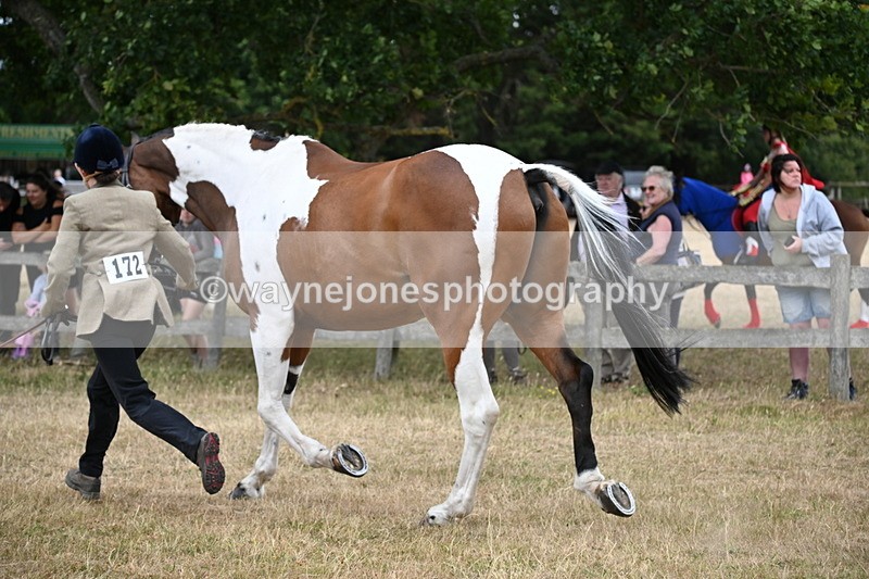 WJ6_8160 - Class 10 Coloured in Hand