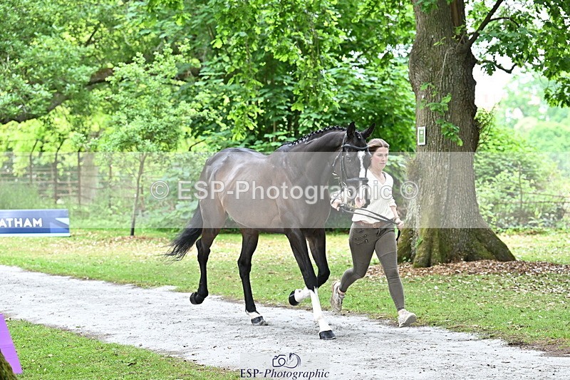 250521A-144729-00238 - A-060-Sophie.Wildern-CARTOON.HERO