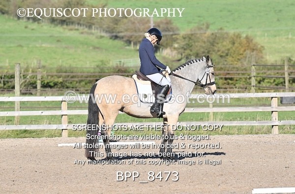 BPP_8473 - SHORT ARENA