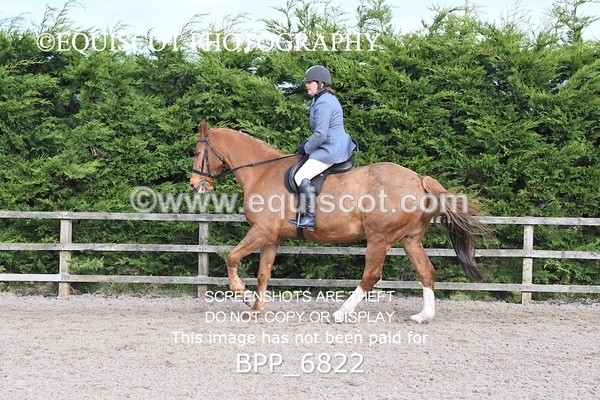 BPP_6822 - RING 1  (RIDDEN HORSES / IN HAND / VETERAN ETC)