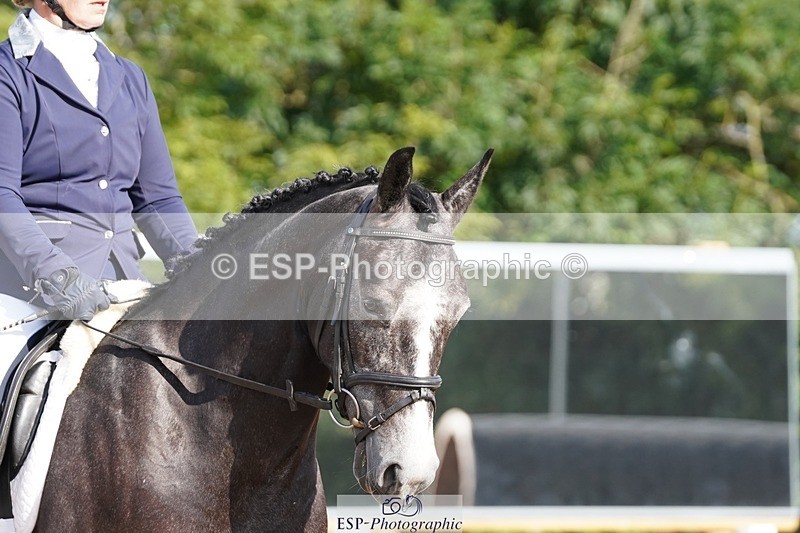 250622-083058-12978 - Cls 46 FreeStyle Prelim Inc Presentations