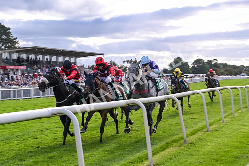 050926-Race 7-Andesite-5466 - Race 7 5pm Thirsk Racecourse Ideal Conference & Events Venue Handicap (Div I)