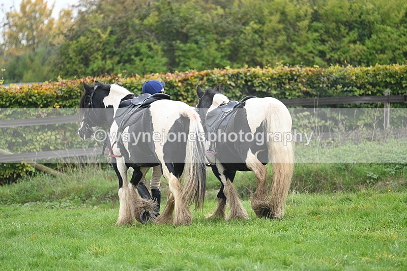 WJ7_2951 - Afew at the end ...