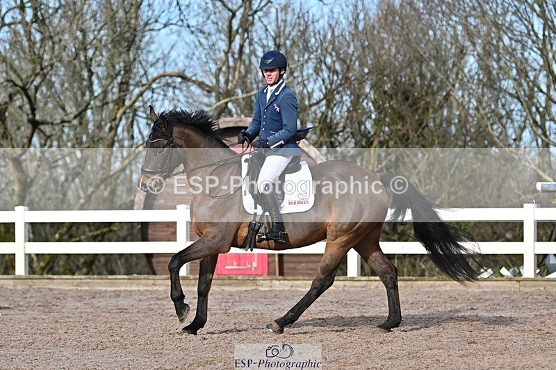 250125-120446-00393 - Dressage - CT Class 5 BE95 (90cm)
