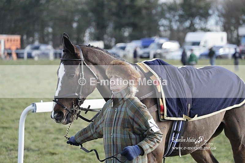 PtP 260223 878 - South & West Wilts Point-to-Point Larkhill 26/02/23