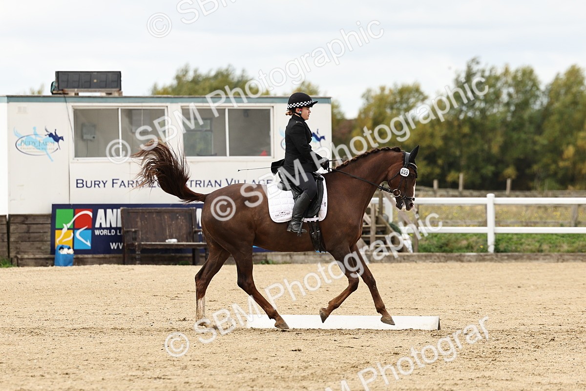 SBM_004529 - Class 69 - Novice 2