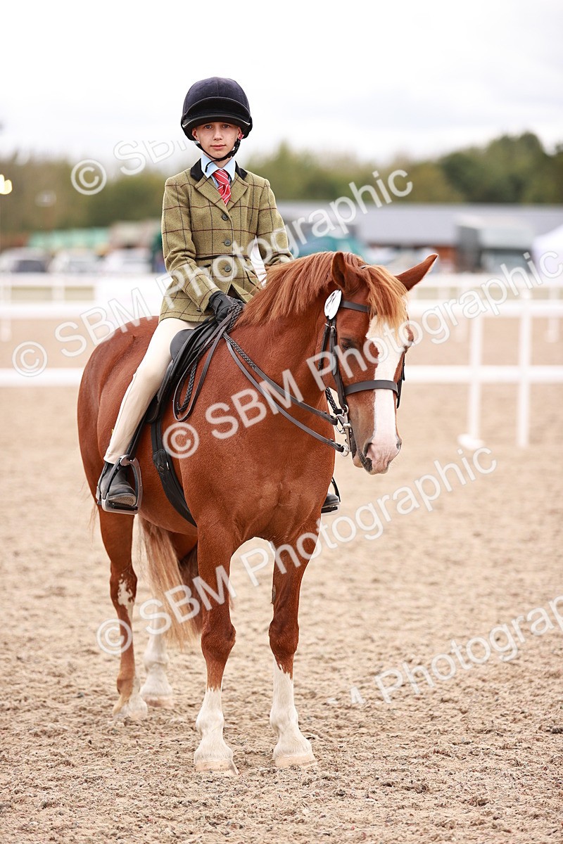 SBM_18577 - Class 421 - Childs Best Friend - Jnr