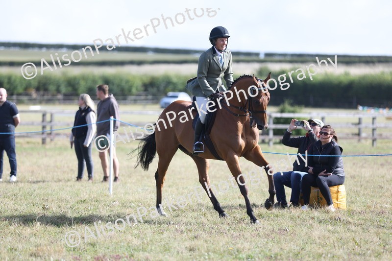 20250831-0822 - Class 14 - Ex Racehorse