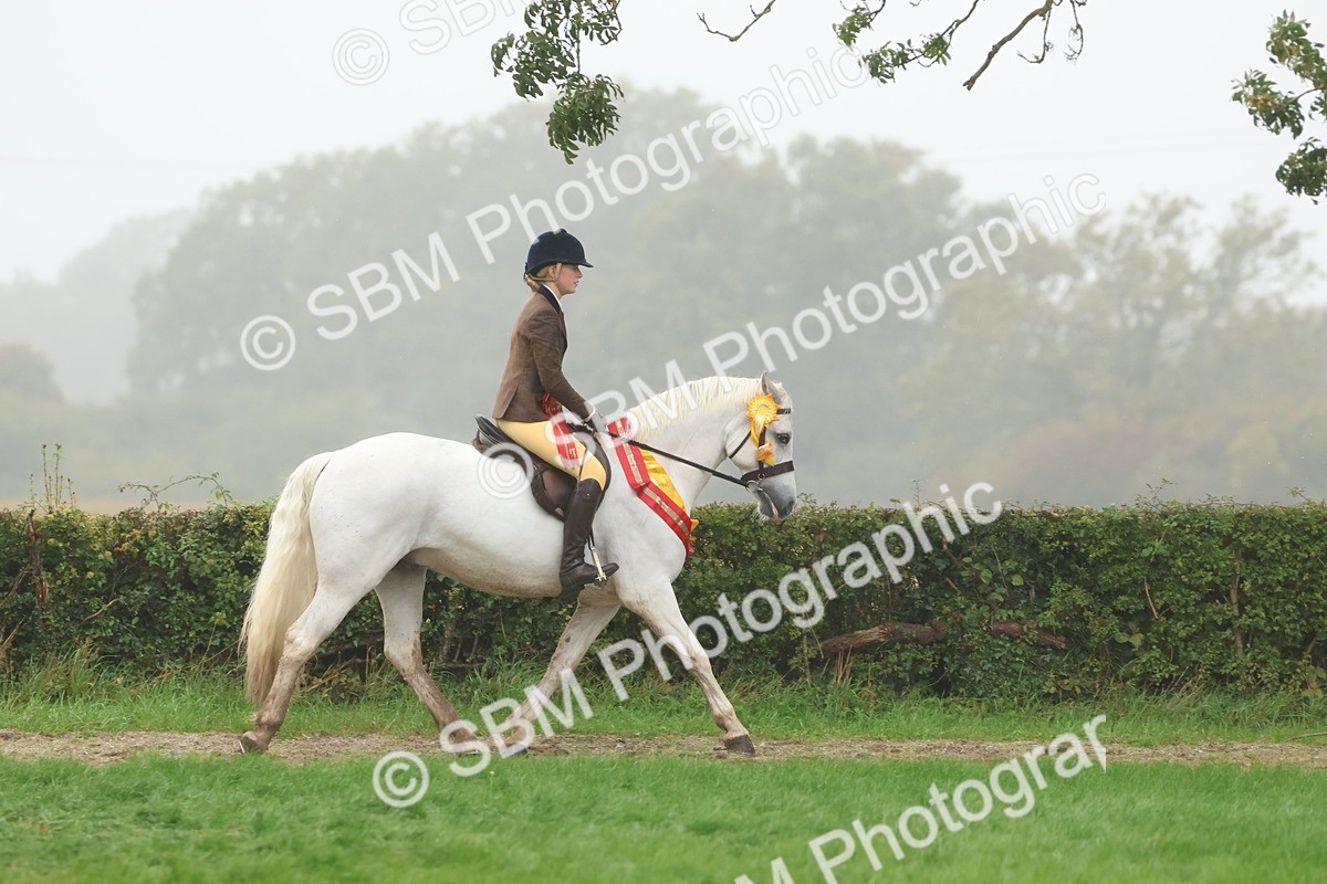 SBM_73207 - Super Supreme Championship(Sun)