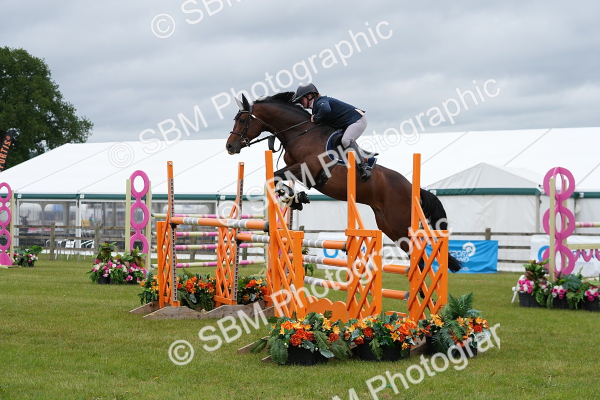 SBM_03338 - Class 201 - British Horse Feeds Speedi Beet Horse of the Year Show Grade  C