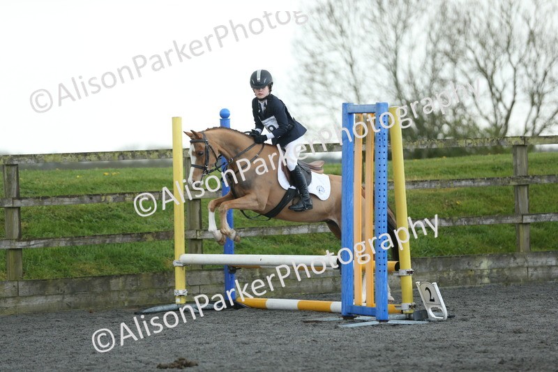 20260412-1917 - Show Jumping