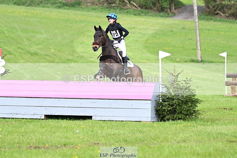 250419-174508-14530 - 872-Ella.Ringham-MINI.FERRARI