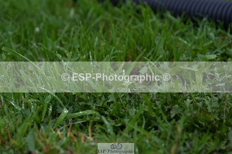 250920-142719-01445 - Cls 18-20 CoH 1.10m, 1.20m and 1.25m