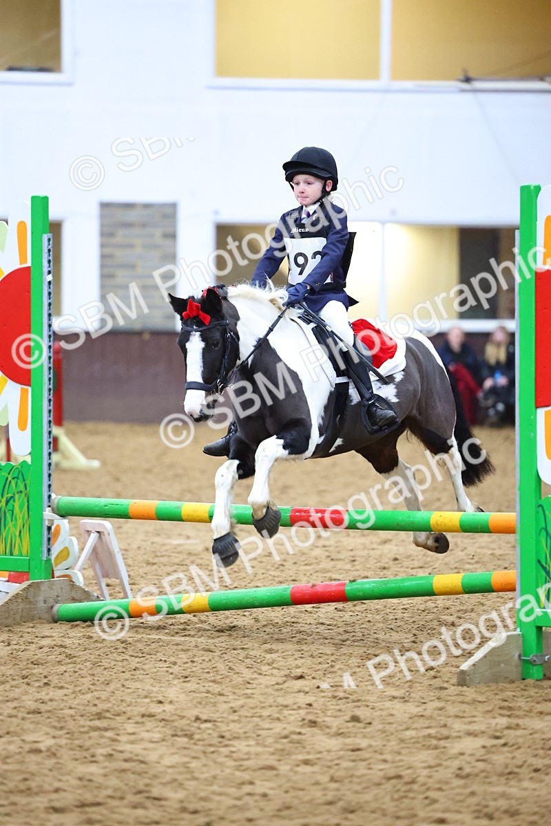 SBM_001297 - Class 3 - Christmas Tree Stakes - 60cm